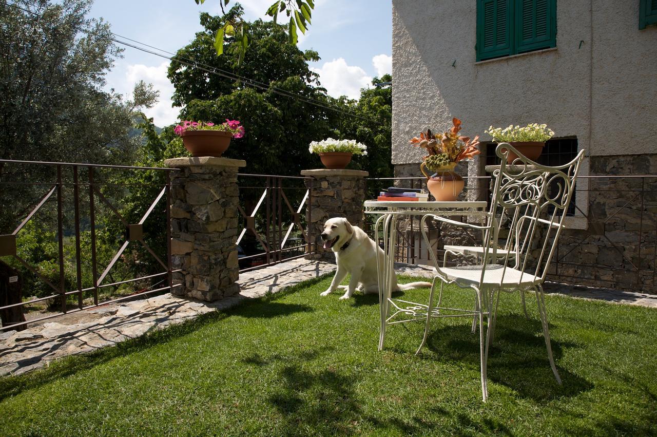 Bed and Breakfast La Casa Dei Nonni Castelbianco Colletta Exterior foto